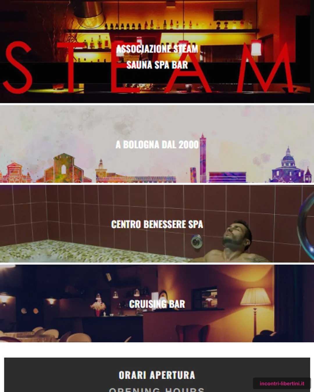 Steam Sauna