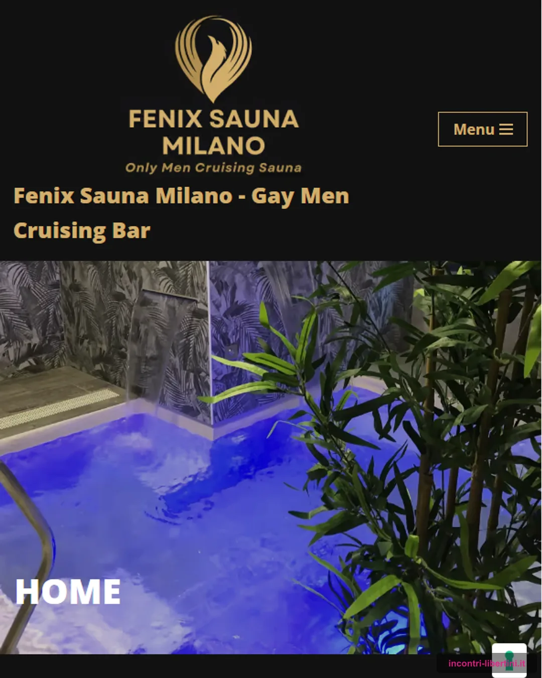 Fenix Sauna Milano