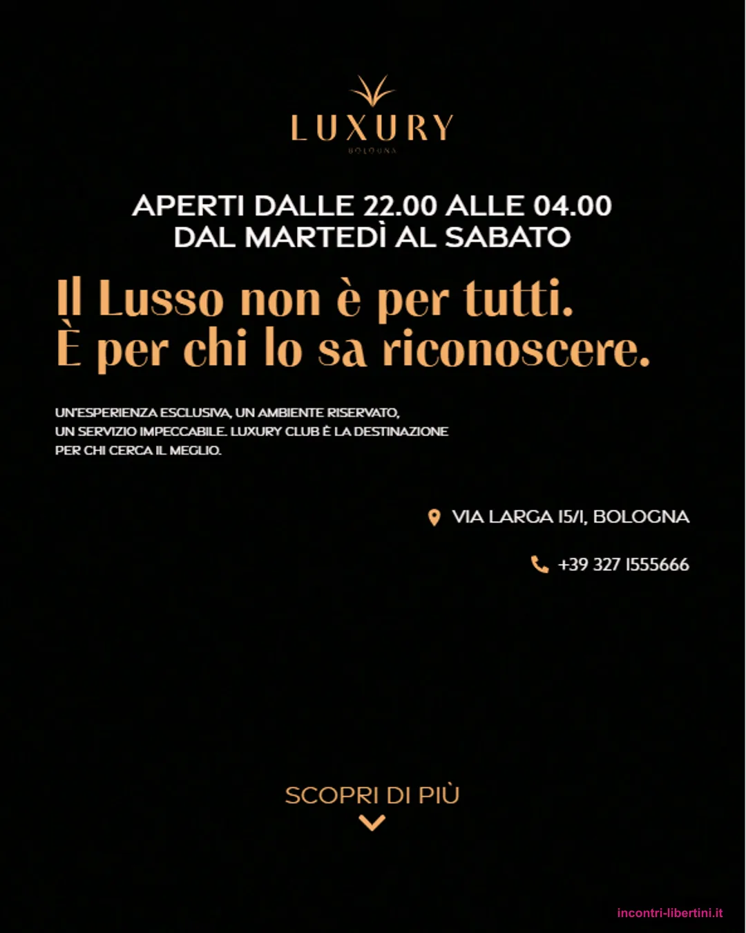 Luxury Club Bologna